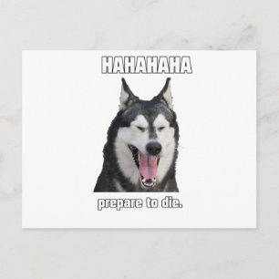 Cartão Postal MalaBrute 4