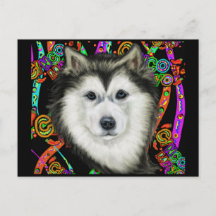 Cartão Postal Malamute do Alasca