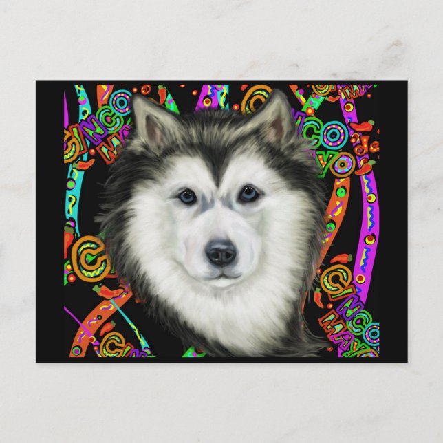 Cartão Postal Malamute do Alasca (Frente)