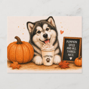Cartão Postal Malamute do Alasca Cozy Cappuccino de Abóbora com