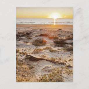 Cartão Postal Malaquite Beach Sand Dunes