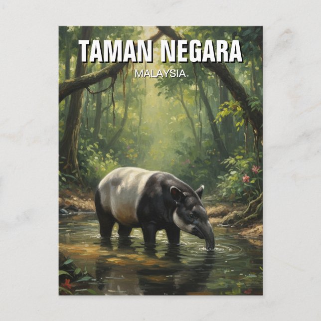 Cartão Postal Malásia Taman Negara Malaio Tapir (Frente)