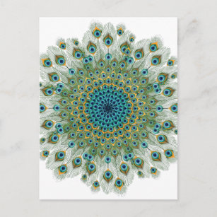 Cartão Postal Male Peacock Colorful Mandala