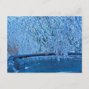 Cartão Postal Malibu Icicles