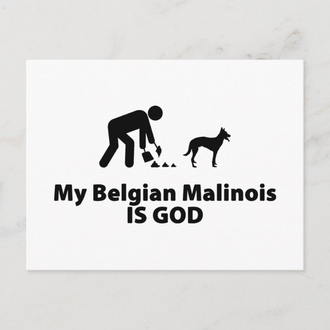 Cartão Postal Malinois Belga (Frente)