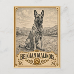 Cartão Postal Malinois Belga, Cachorro de Patrimônio Vintage