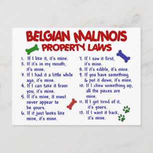CARTÃO POSTAL MALINOIS BELGA PL2