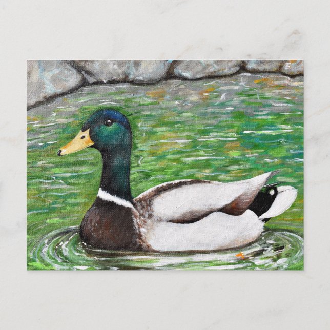 Cartão Postal Mallard Duck Painting (Frente)