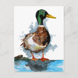 Cartão Postal Mallard Duck Watercolor