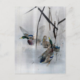 Cartão Postal Mallards e Reeds, Watanabe Seitei