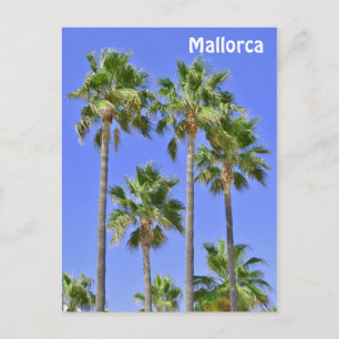 Cartão Postal Mallorca Palm Trees