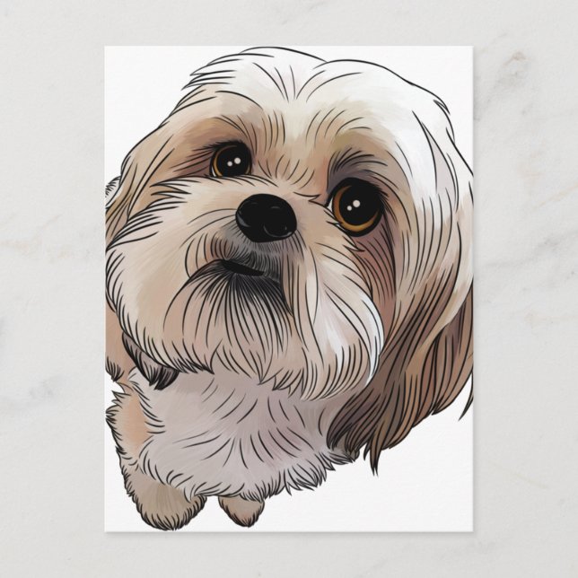 Cartão Postal Malshi Mal-shi (Frente)