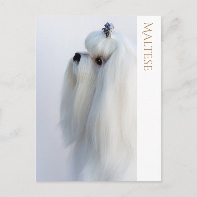 Cartão postal maltês (Frente)