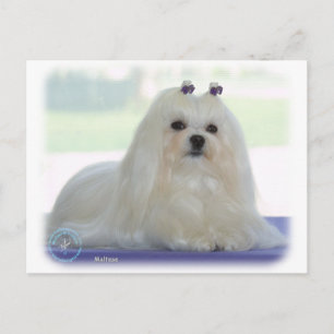 Cartão Postal Maltês