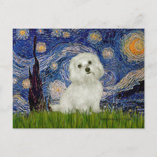 Cartão Postal Maltês 11 - Starry Night