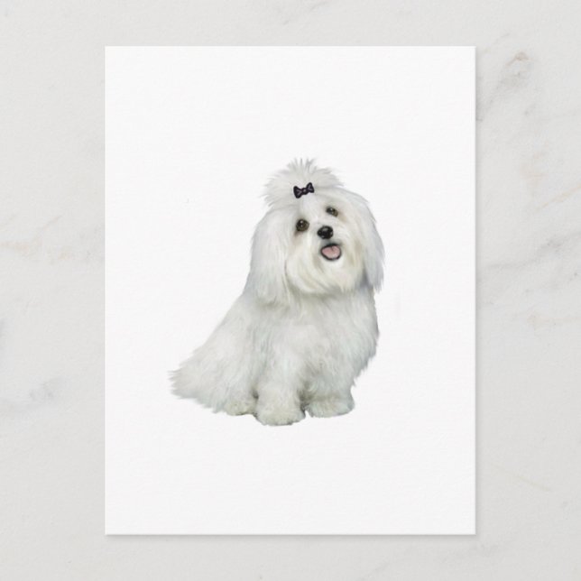 Cartão Postal Maltês (A) - com entalhe superior (Frente)