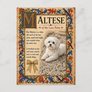 Cartão Postal Maltês, Arte do Bestiário Medieval