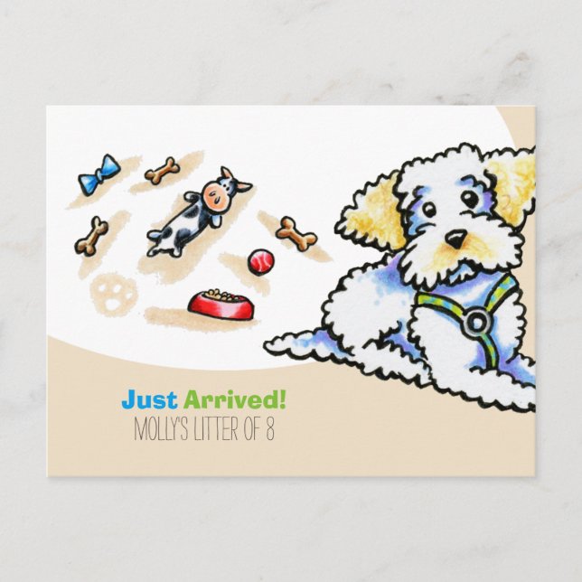 Cartão Postal Maltipoo Misturado Raça Nova Filupa Social (Frente)