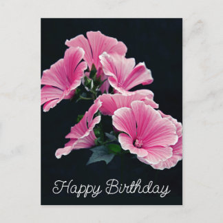 Cartão Postal Malva Flor de Malva Rosa Elegante