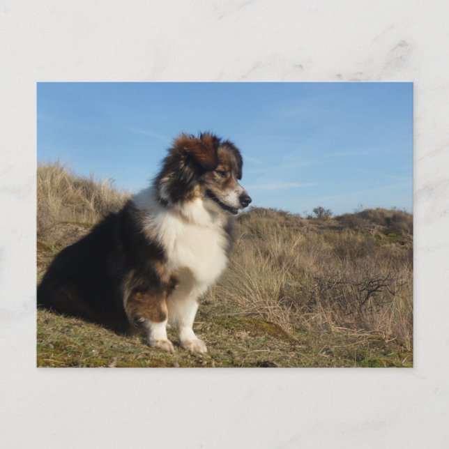 Cartão Postal Mamãe (Frente)