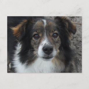 Cartão Postal Mamãe