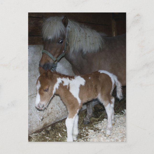 Cartão Postal Mamãe e Bebê (Frente)