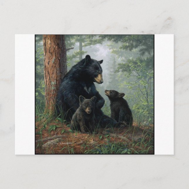 Cartão Postal Mamma Bear (Frente)