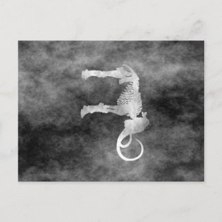 Cartão Postal mamute selvagem