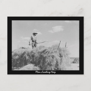 Cartão Postal Man Loading Hay