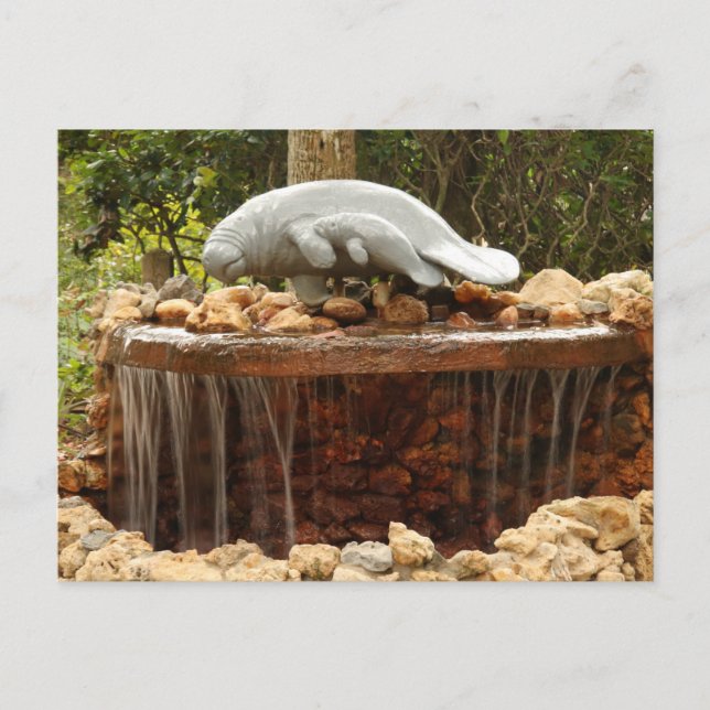 Cartão Postal Manatee Fountain (Frente)