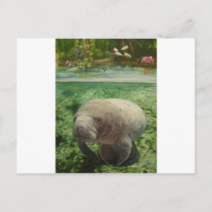 CARTÃO POSTAL MANATEIRA