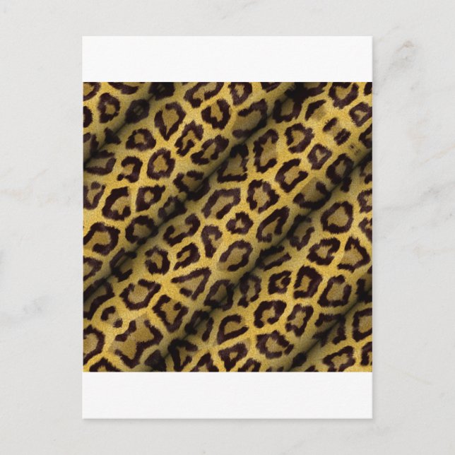 Cartão Postal Manchas de Leopardo (Frente)