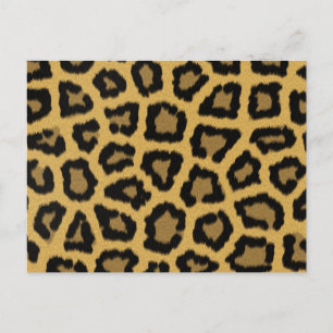 Cartão Postal Manchas-leopardo africanas