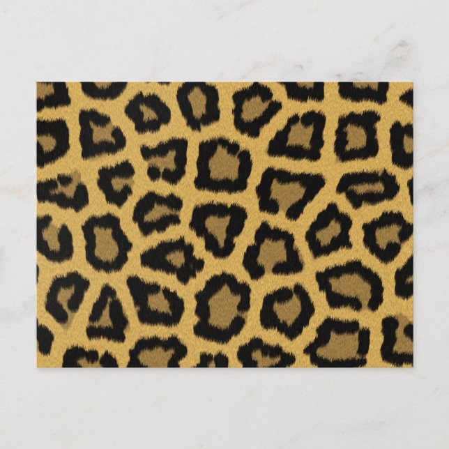 Cartão Postal Manchas-leopardo africanas (Frente)
