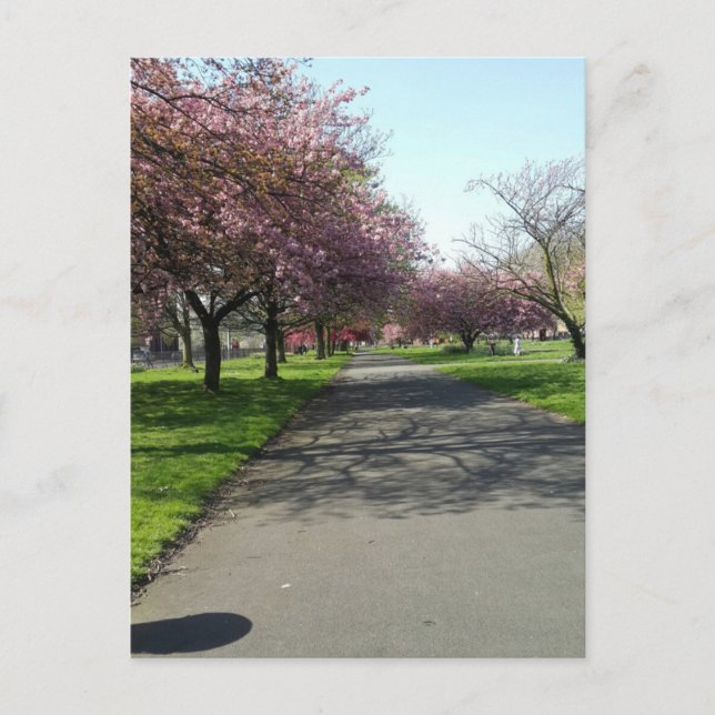 Cartão Postal Manchester em Primavera (Frente)