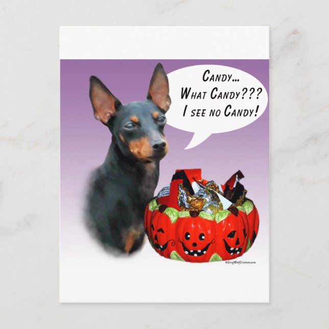 Cartão Postal Manchester Terrier Halloween Candy (Frente)