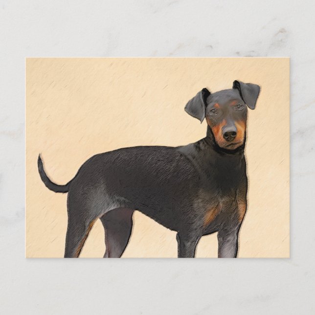 Cartão Postal Manchester Terrier Pintura Original (Frente)