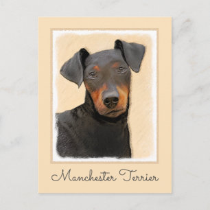 Cartão Postal Manchester Terrier Pintura Original