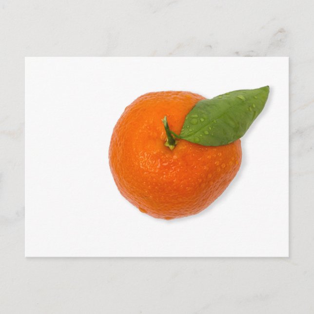 Cartão Postal Mandarim com folha verde (Frente)