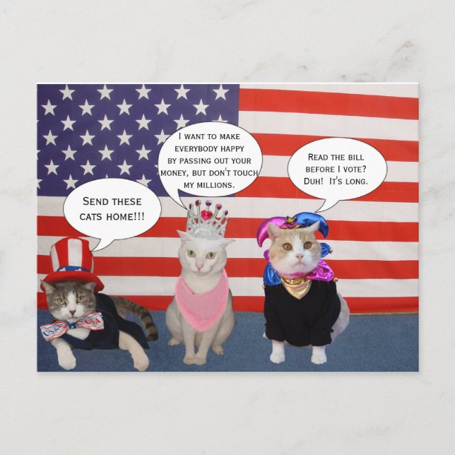 Cartão Postal Mande esses gatos para casa! (Frente)