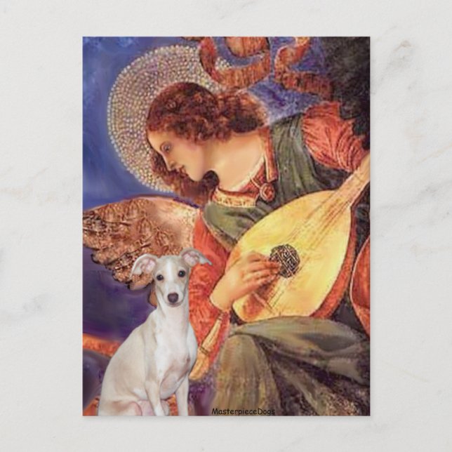 Cartão Postal Mandolin Angel - - Italiano Greyhound 7 (Frente)