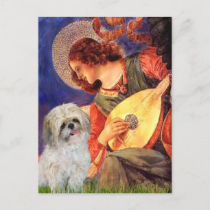 Cartão Postal Mandolin Angel - Shih Tzu (P)