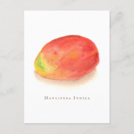 Cartão Postal Mango!