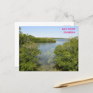Cartão Postal Mangroves Blue Ocean Waterway Key West Florida