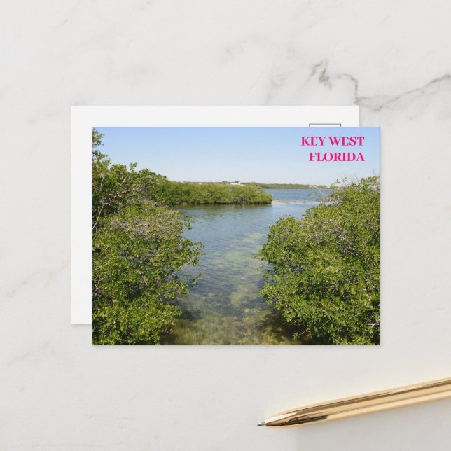 Cartão Postal Mangroves Blue Ocean Waterway Key West Florida (Frente/Verso In Situ)