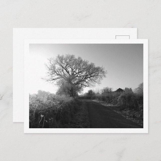 Cartão Postal Manhã Congelada: Cheshire (Frente/Verso)