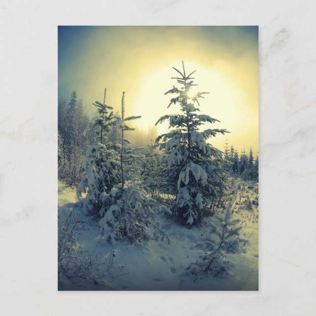 Cartão Postal Manhã De Inverno Crise (Frente)