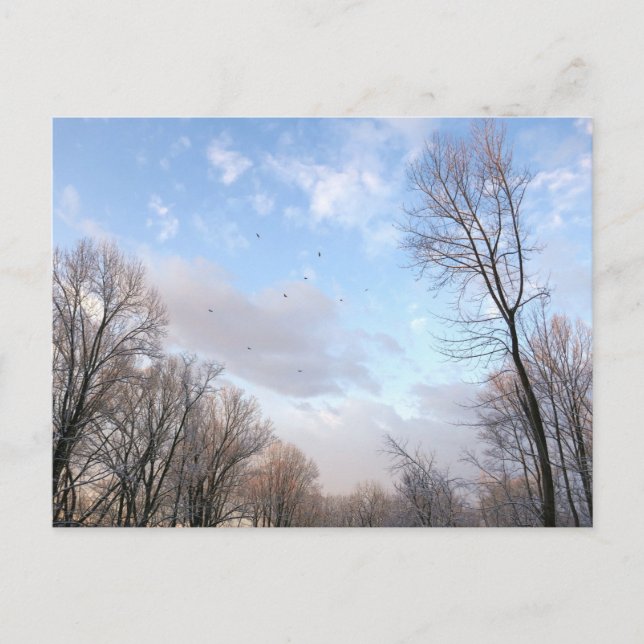 Cartão Postal Manhã de inverno I (Frente)