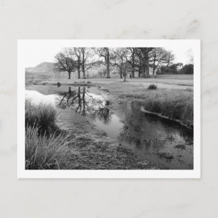 Cartão Postal Manhã de Inverno: Strandshag Bay, Derwentwater