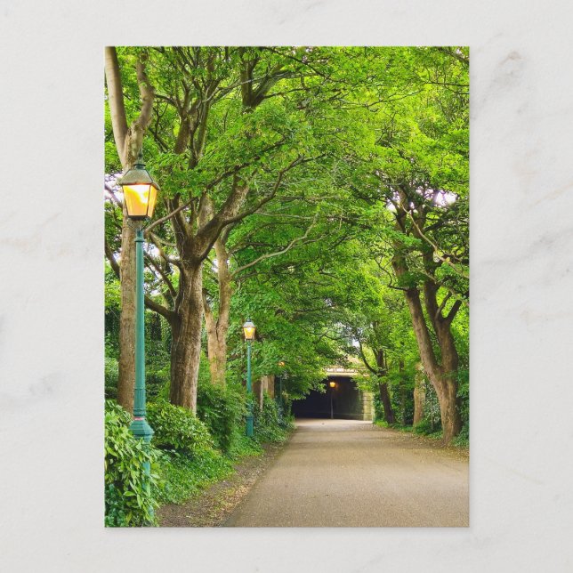 Cartão Postal Manhã De Verão (Frente)